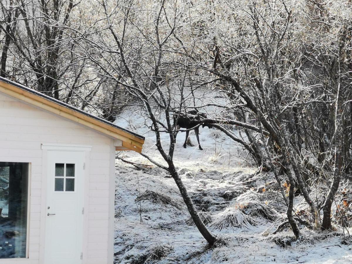 Вилла Relaxing Cabin Gravdal  Экстерьер фото